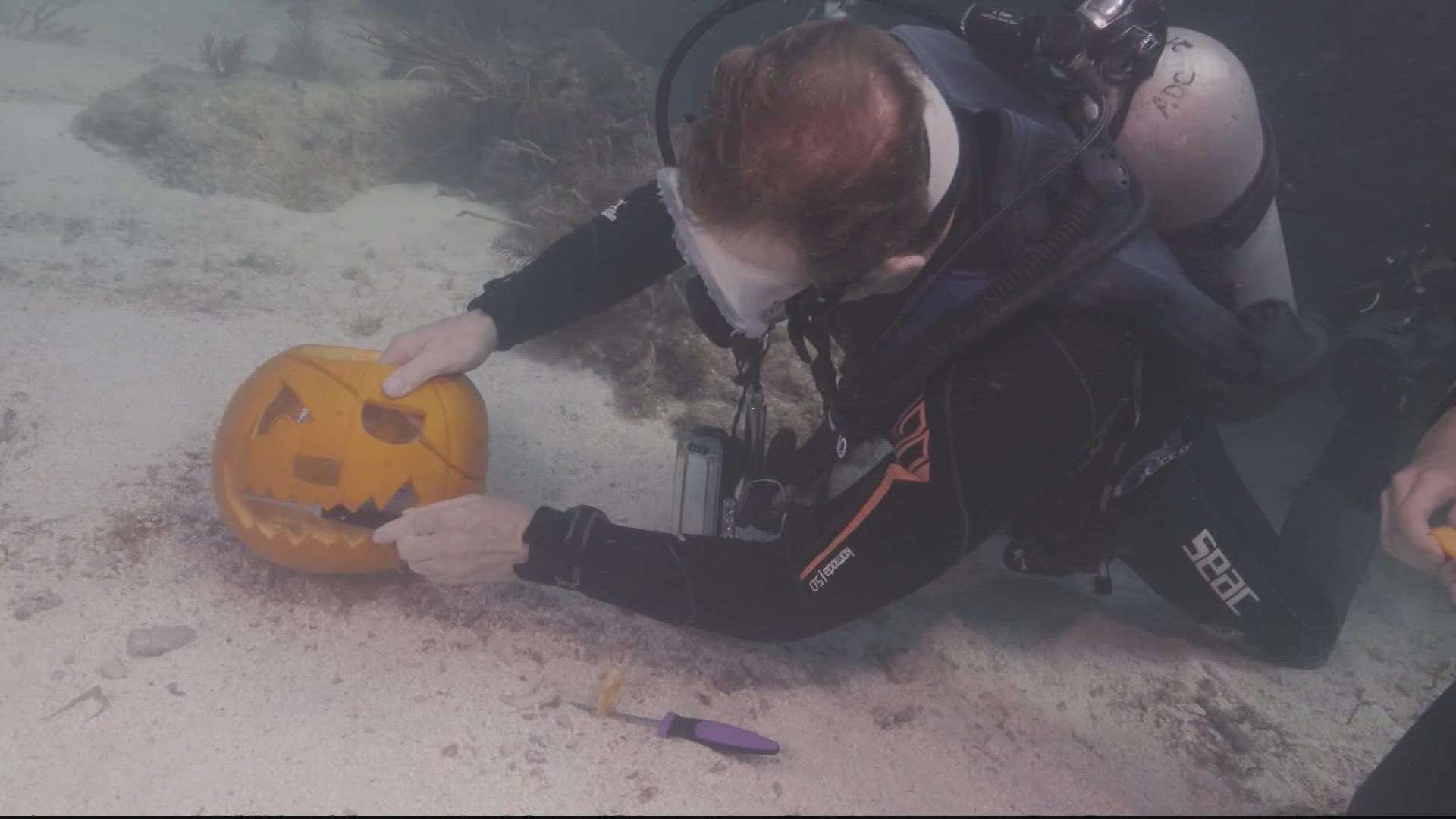 A group of creative scuba divers competed in an annual underwater pumpkin carving contest in the waters off Largo, Florida, according to the Florida Keys New Bureau.