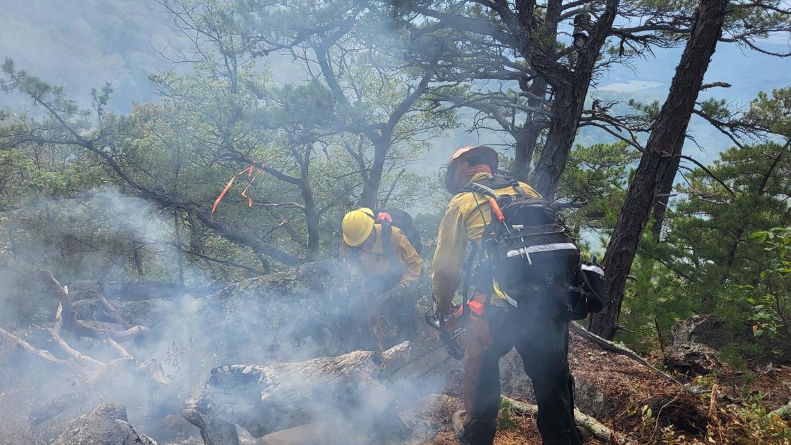 Firefighters work to contain wildland fire in Virginia - Vimarsana News