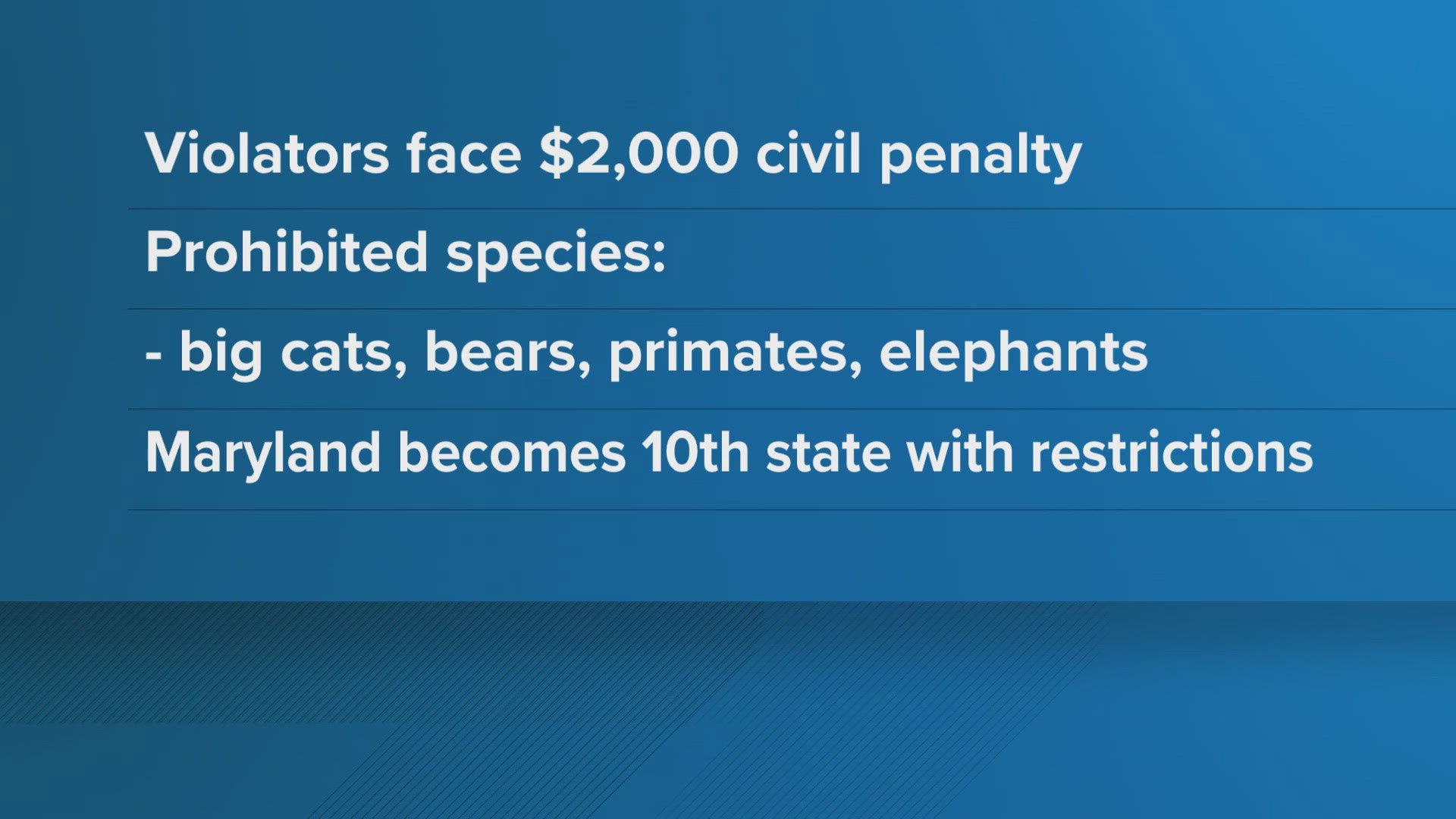 Gov. Wes Moore signed a bill into law that prohibits the use of big cats, bears and monkeys in traveling shows and circuses.