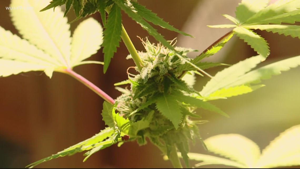 Legal recreational marijuana in Maryland may be possible soon