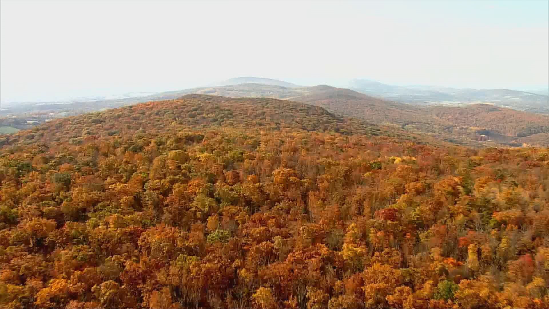 Take to the skies with Sky9 to view beautiful fall foliage in Western, MD.