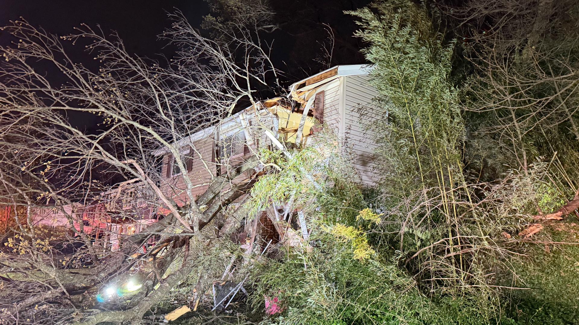 Tree falls on home in Fairfax County | wusa9.com
