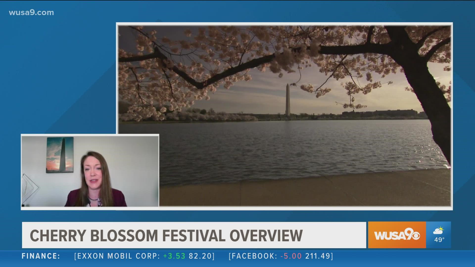 Meg Cohen shares an overview of what to expect from this year's National Cherry Blossom Festival. For more visit nationalcherryblossomfestival.org.