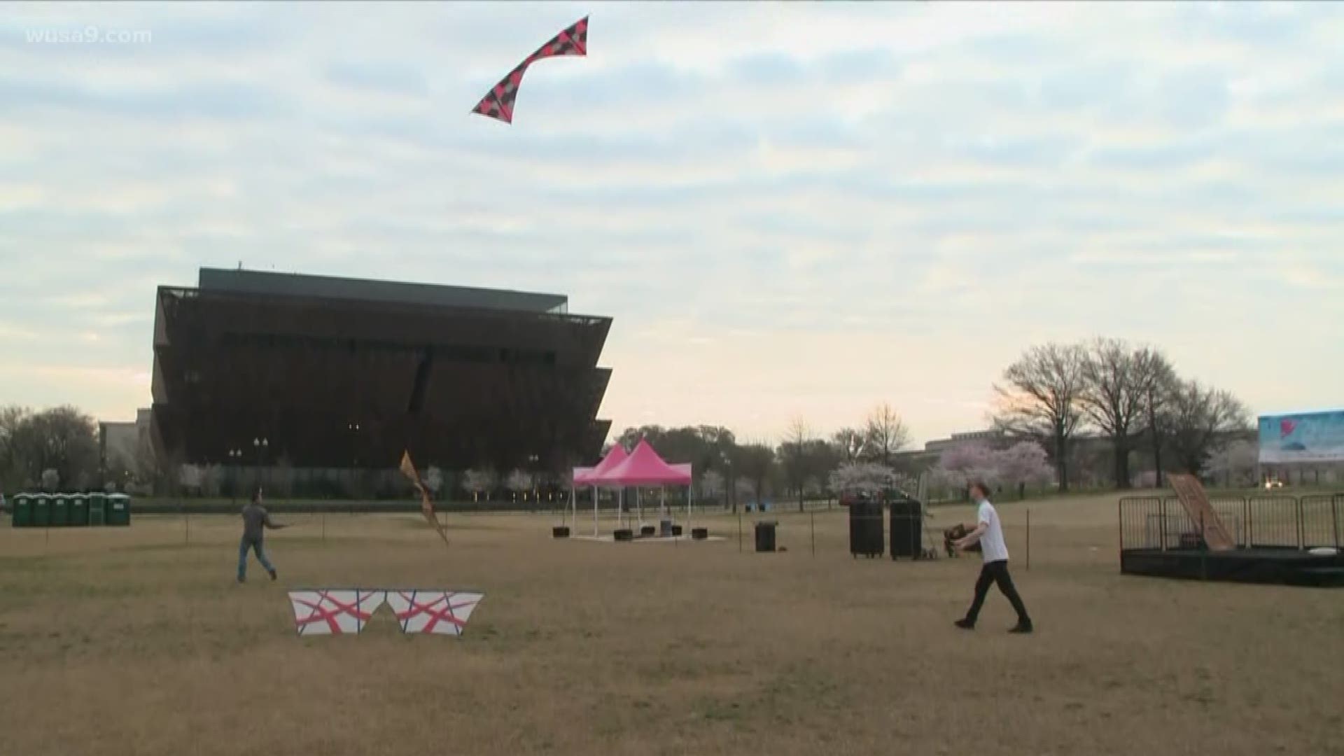 Thousands of people took advantage of today's nice weather at the annual Cherry Blossom Kite Festival on the National Mall.