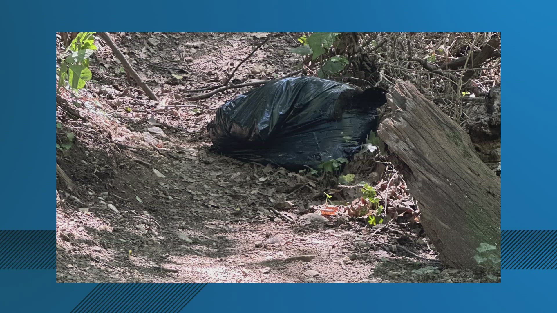 The Animal Welfare League of Arlington is trying to determine how the bear died and how it ended up inside a bag on the trail