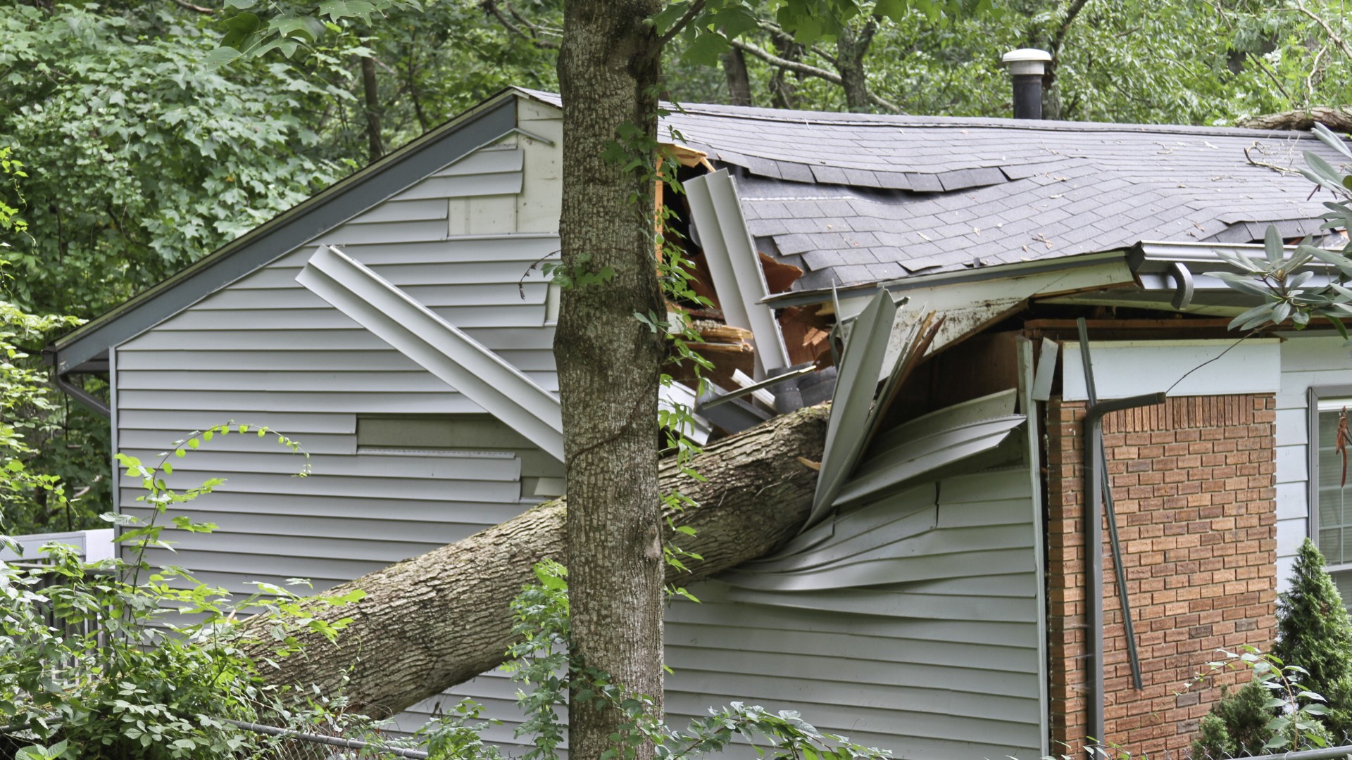 Tree falls on home in Montgomery County | wusa9.com