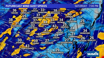 Gusty winds in the DC region could mean downed power lines, trees