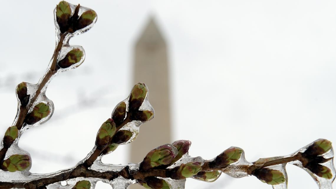 Cold alert issued for DC on Tuesday