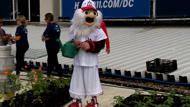 Nationals Stadium Garden — Cultivate the City