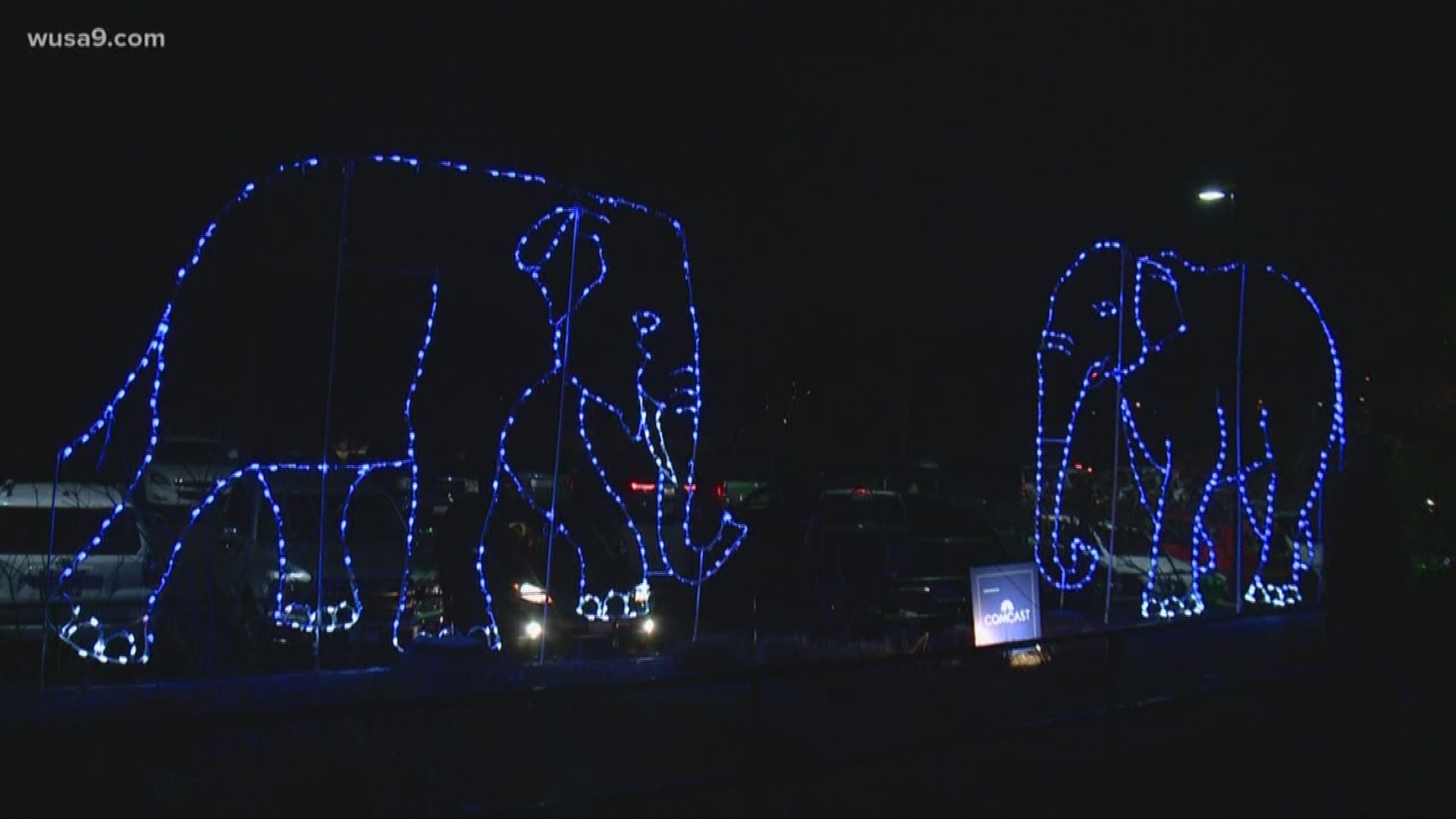 The zoo will be lit up with nearly half a million lights every night through Jan. 1