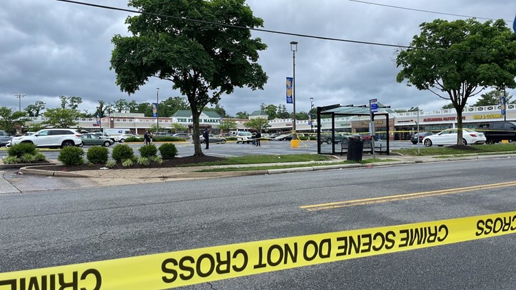 18-year-old student stabbed to death in Alexandria shopping center, police say