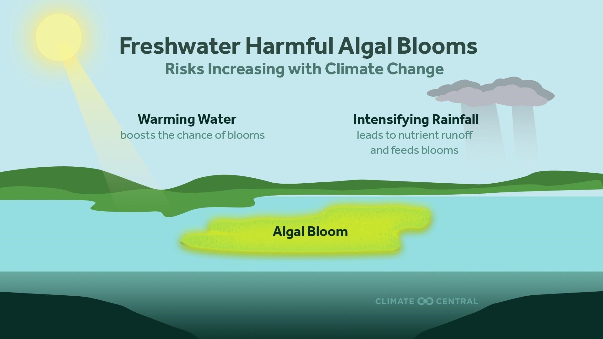 Toxic algae blooms are threating human and animal health | wusa9.com