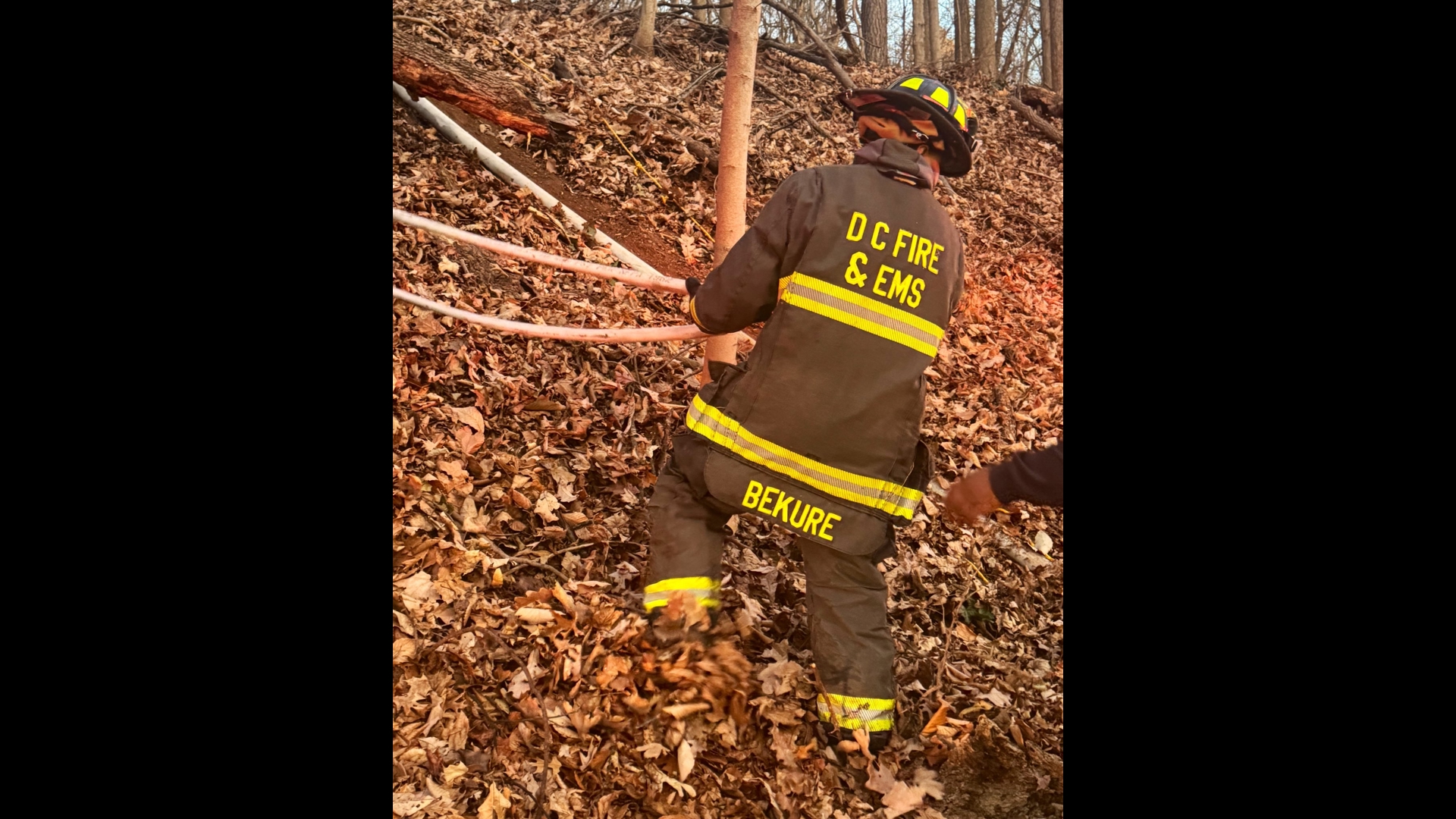Firefighter injured, brush fire at Rock Creek Park | wusa9.com