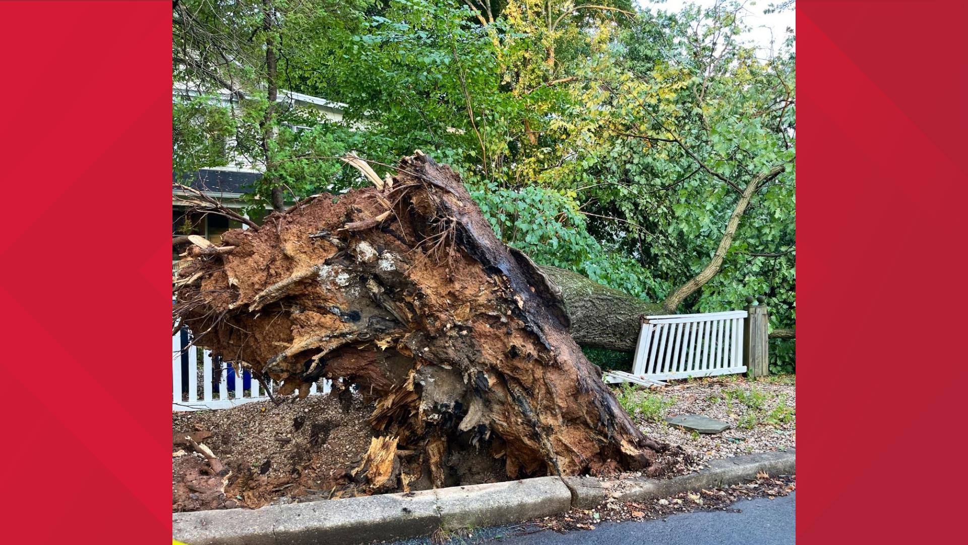 Strong storms down trees, kill power in the DMV | wusa9.com