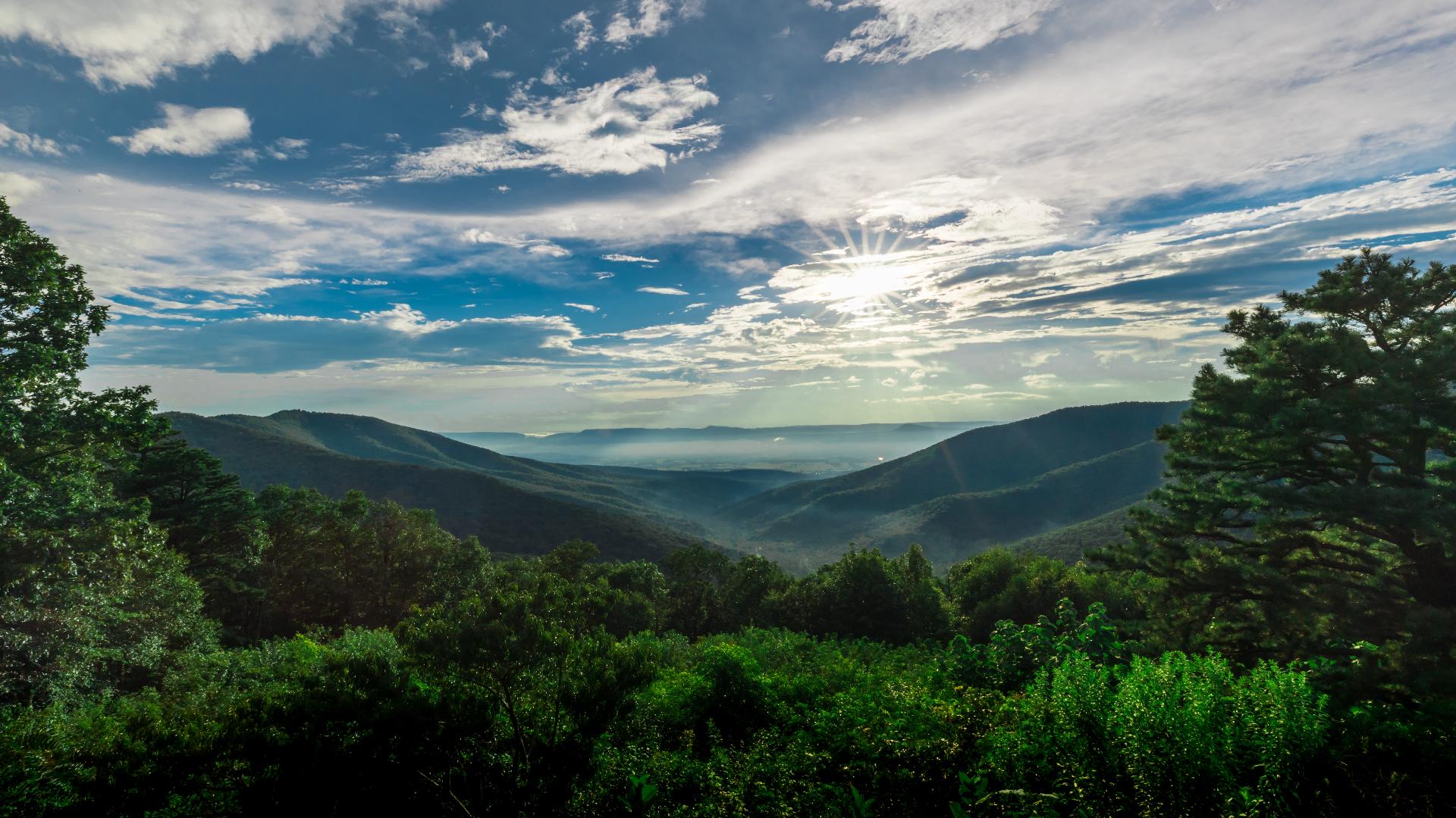 Travel Writer Erin Gifford shares 4 different options for easy Spring day trips from the DC area that are great for the whole family.