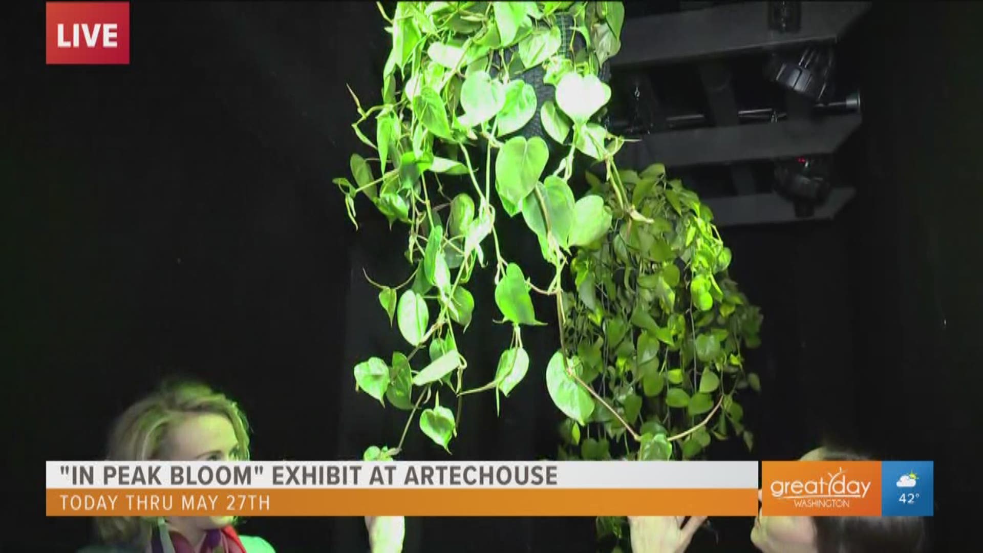 The Artechouse exhibit "In Peak Bloom" showcases high-tech, interactive artwork with a spring theme and even includes 'talking plants'.