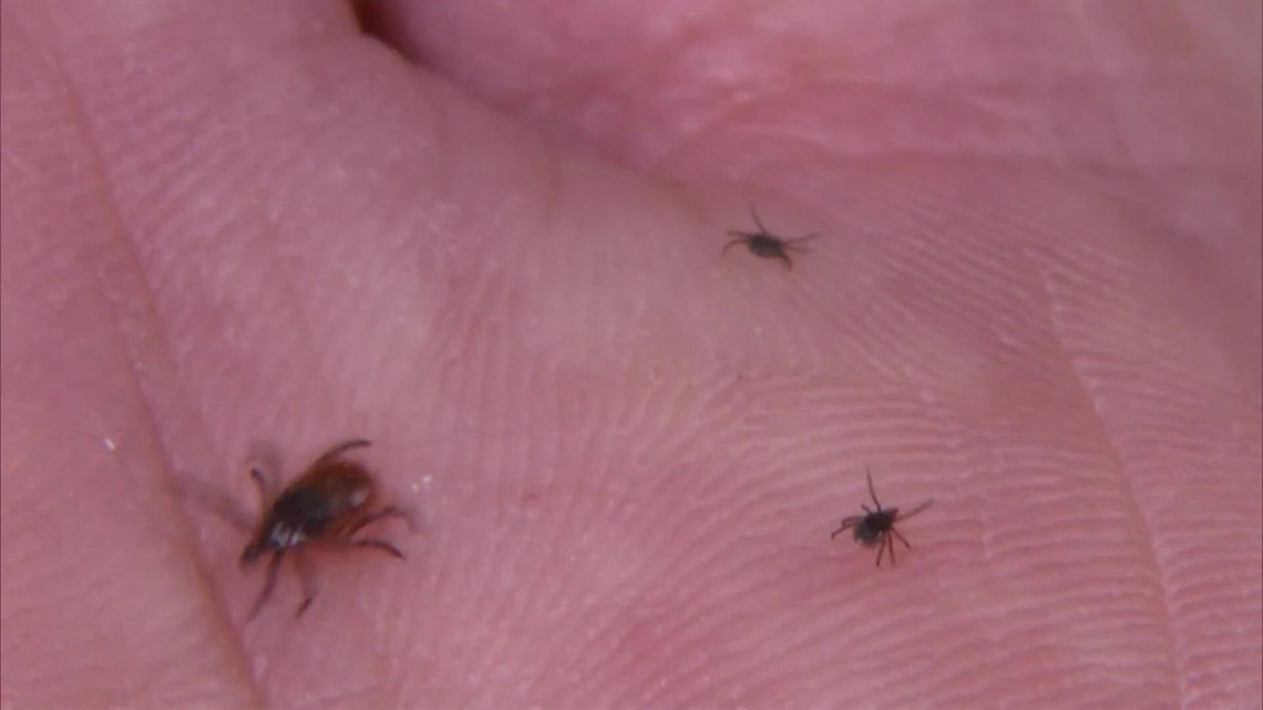 CDC: Tick bite ER visits at highest levels in nearly 10 years