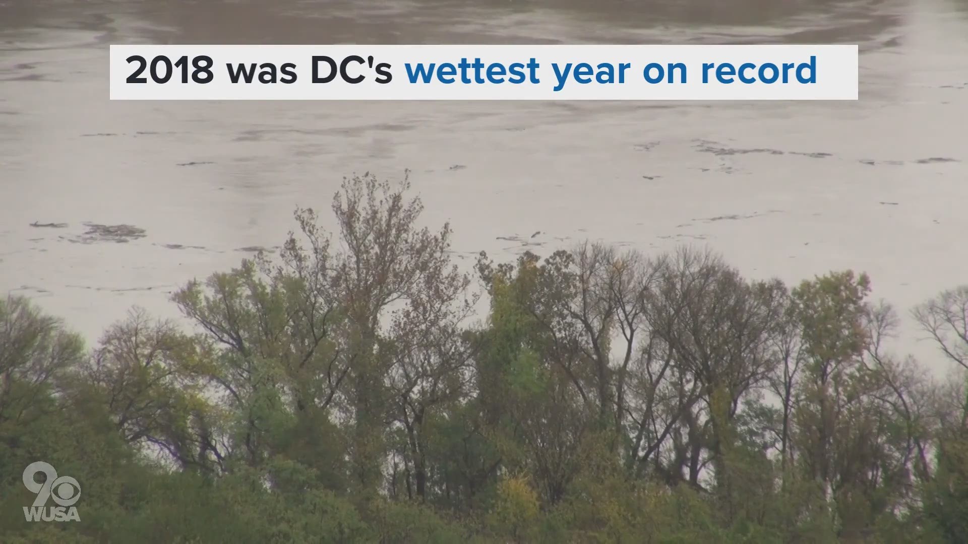 It's off to a wetter start than 2018, which was DC's wettest year on record