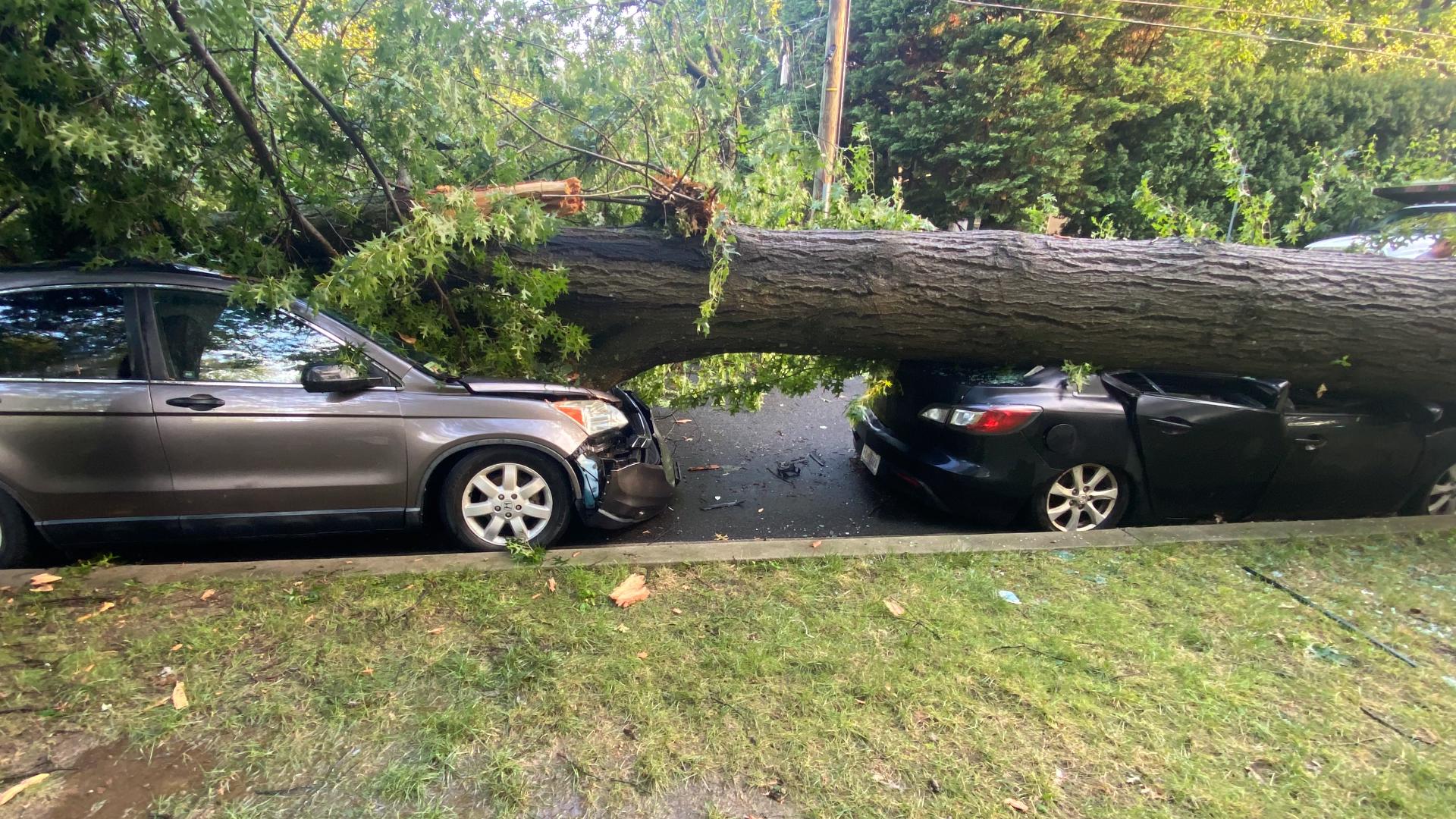 Flooding closes multiple roads in Montgomery County | wusa9.com