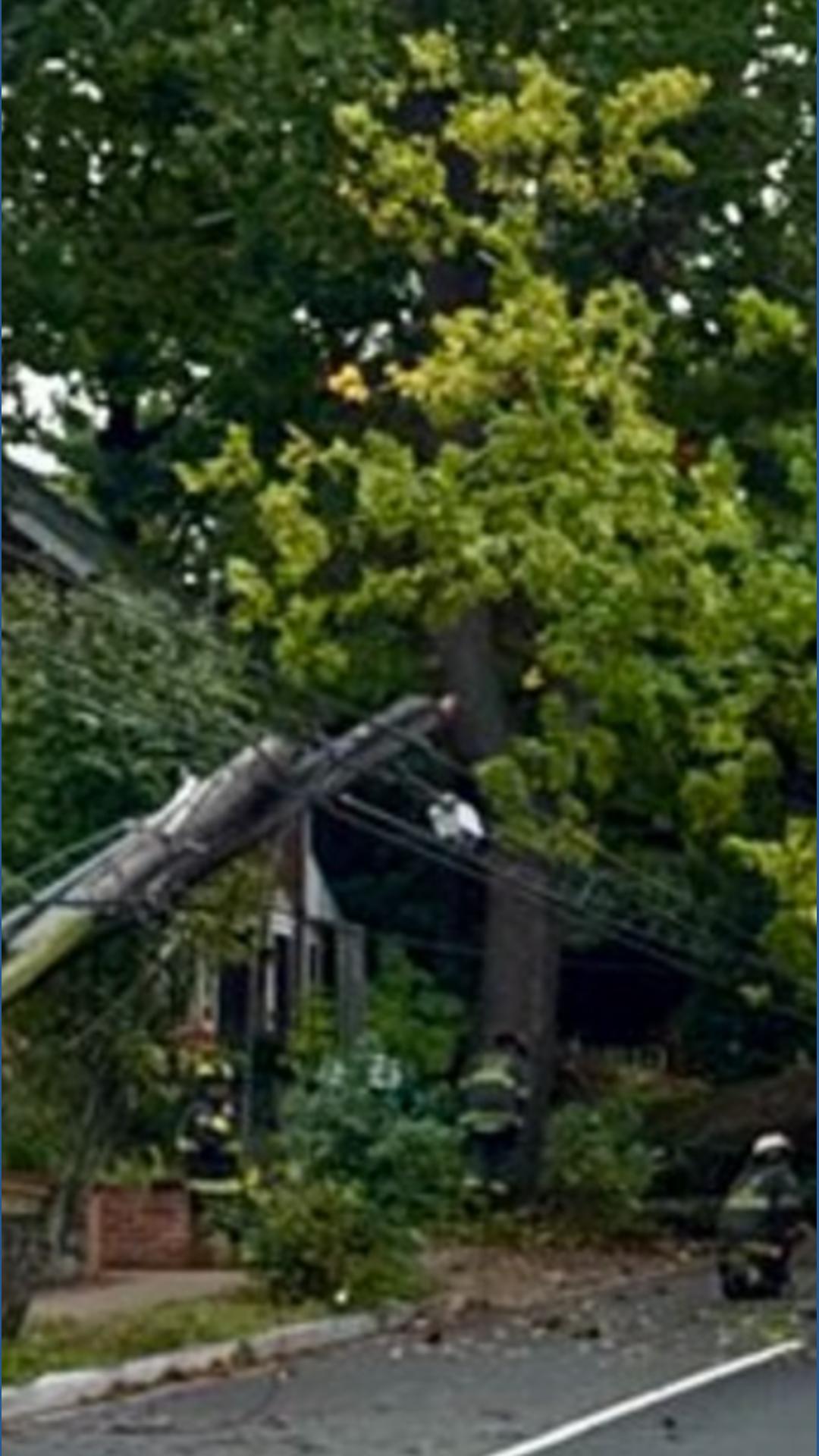 Tree falls on car in DC, driver unhurt | wusa9.com