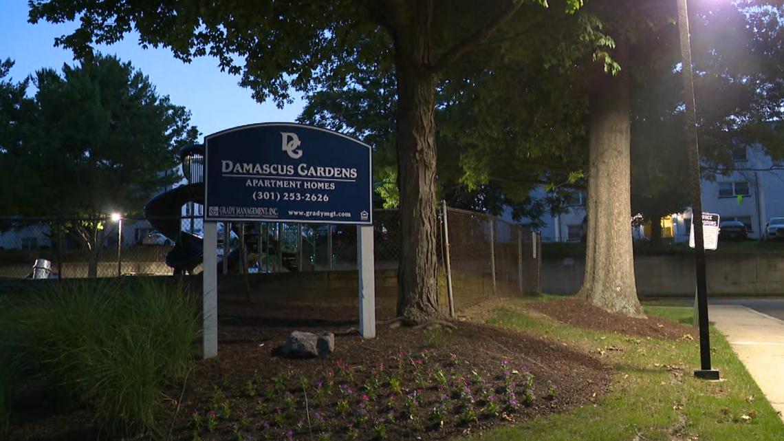 Police investigating shooting in Damascus