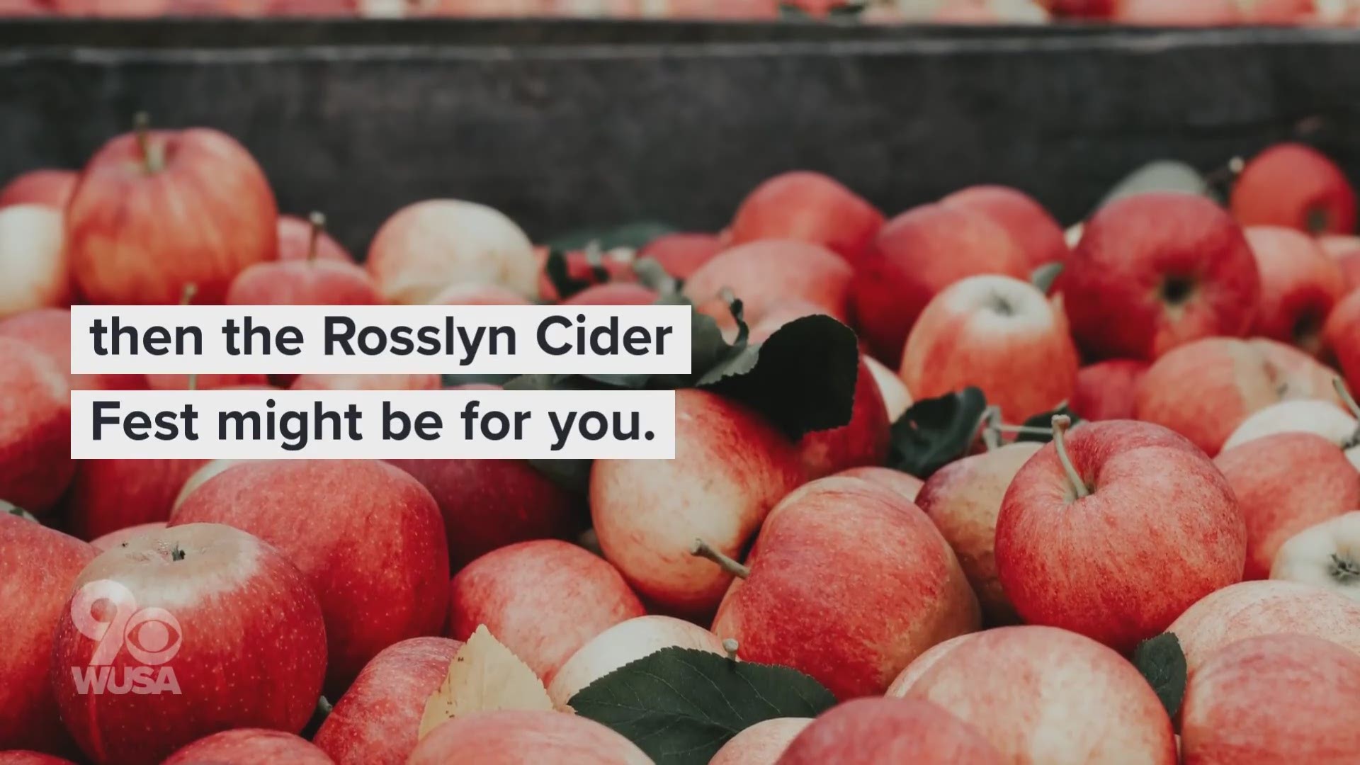 The Rosslyn Cider Fest is coming to Arlington Oct. 17, and features a pie-eating contest.