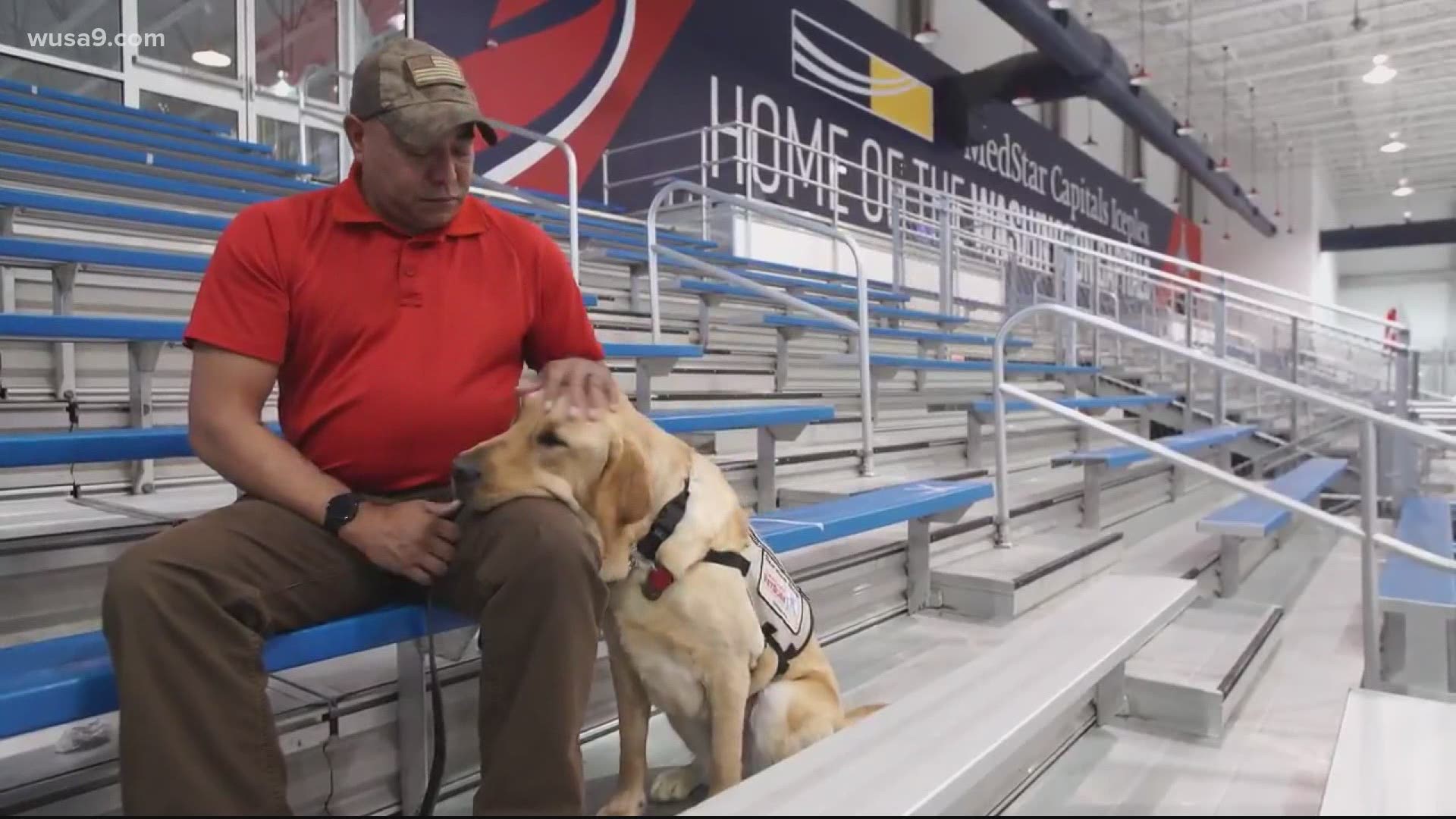 Captain was the Capitals unofficial mascot in 2020, now he's been matched with a U.S. veteran.