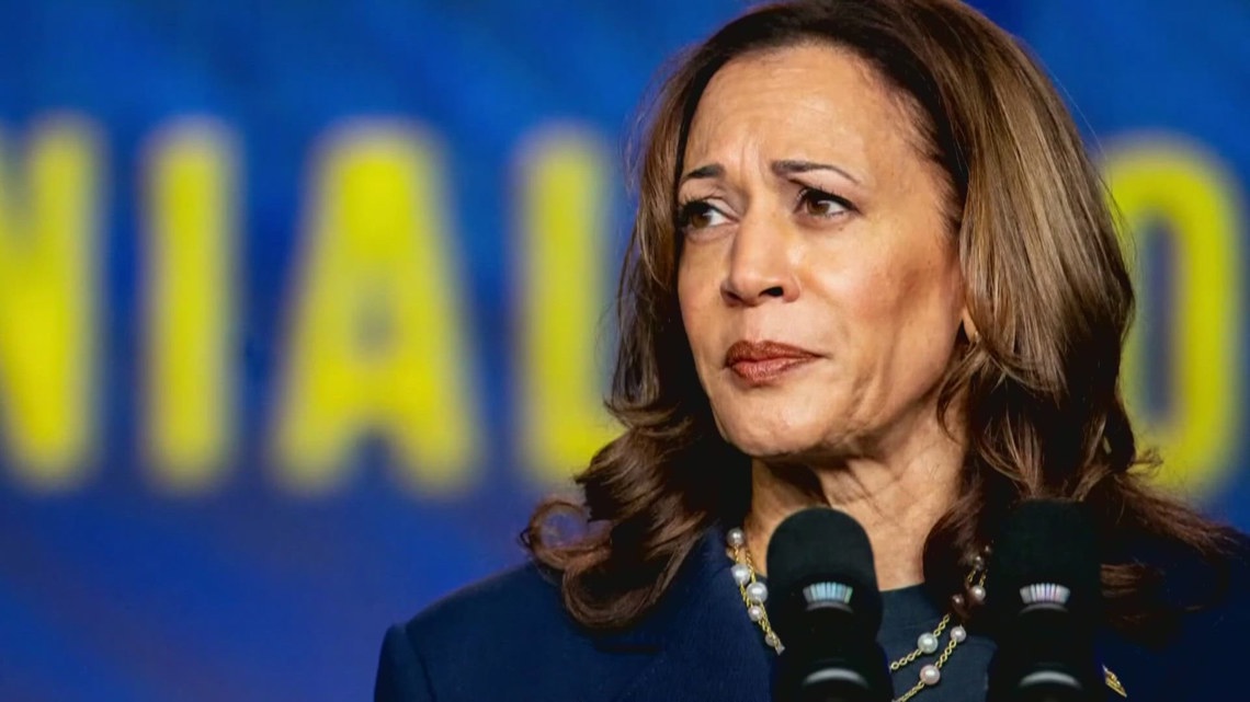 Democrat delegate roll-call votes pour in for VP Harris; DMV delegates sense history