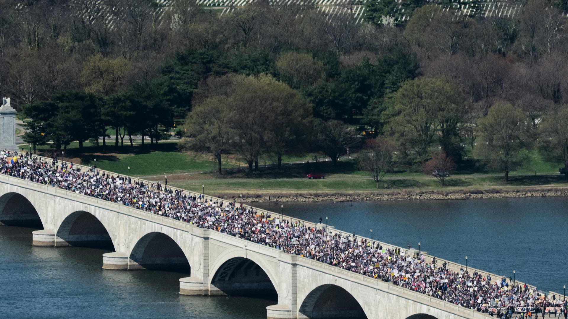 No Kings Day protests bring thousands to DC | wusa9.com