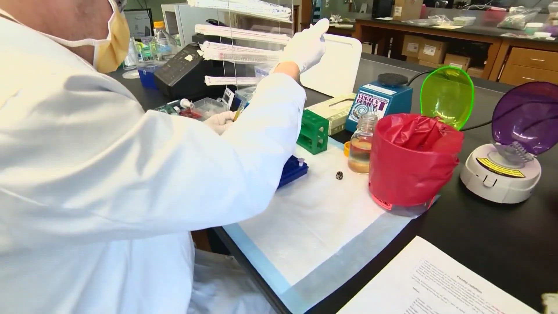 A new study says the vaccine is showing signs of progress
