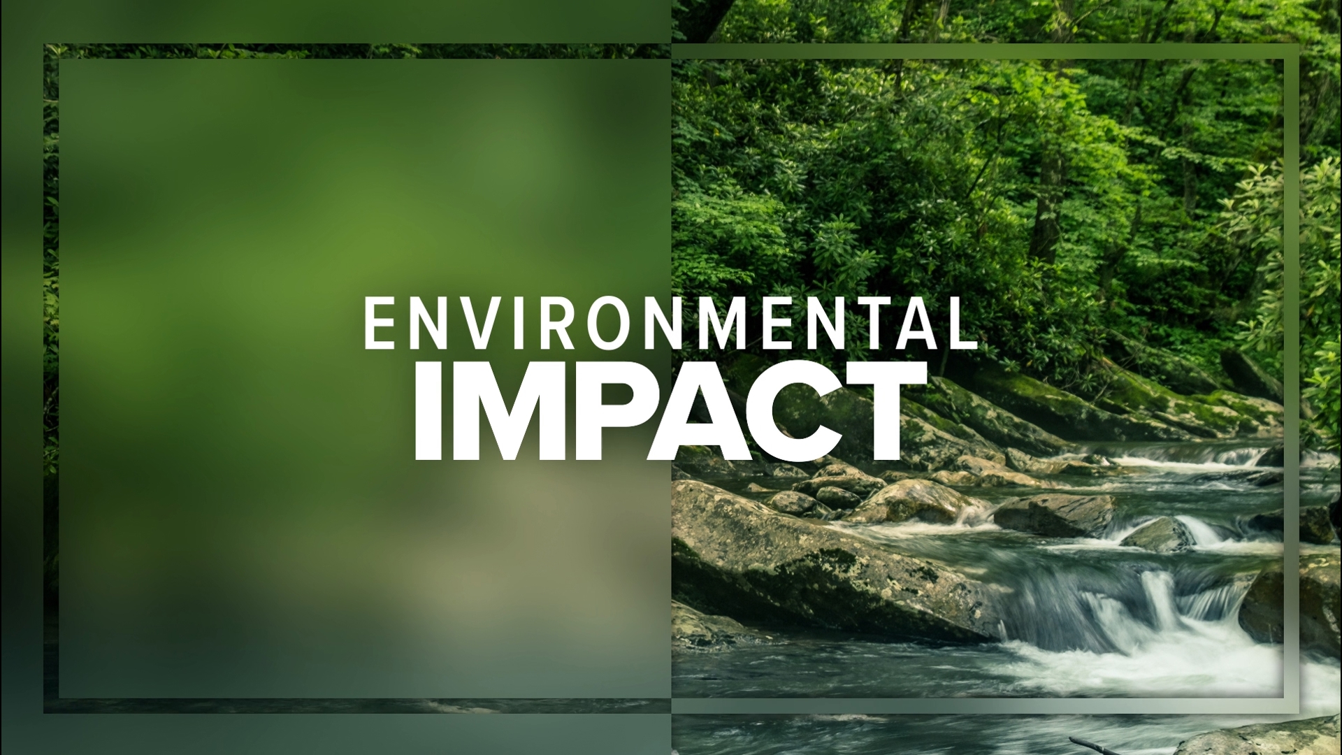 WUSA9 Environmental Reporter Scott Broom is committed to covering climate and environmental issues in the D.C. region.