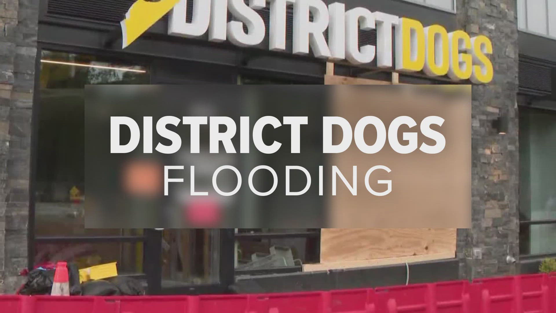 More than a year after dogs and employees became trapped in rising water at District Dogs, the boarding facility will have to pay $100,000 for the deadly flooding.