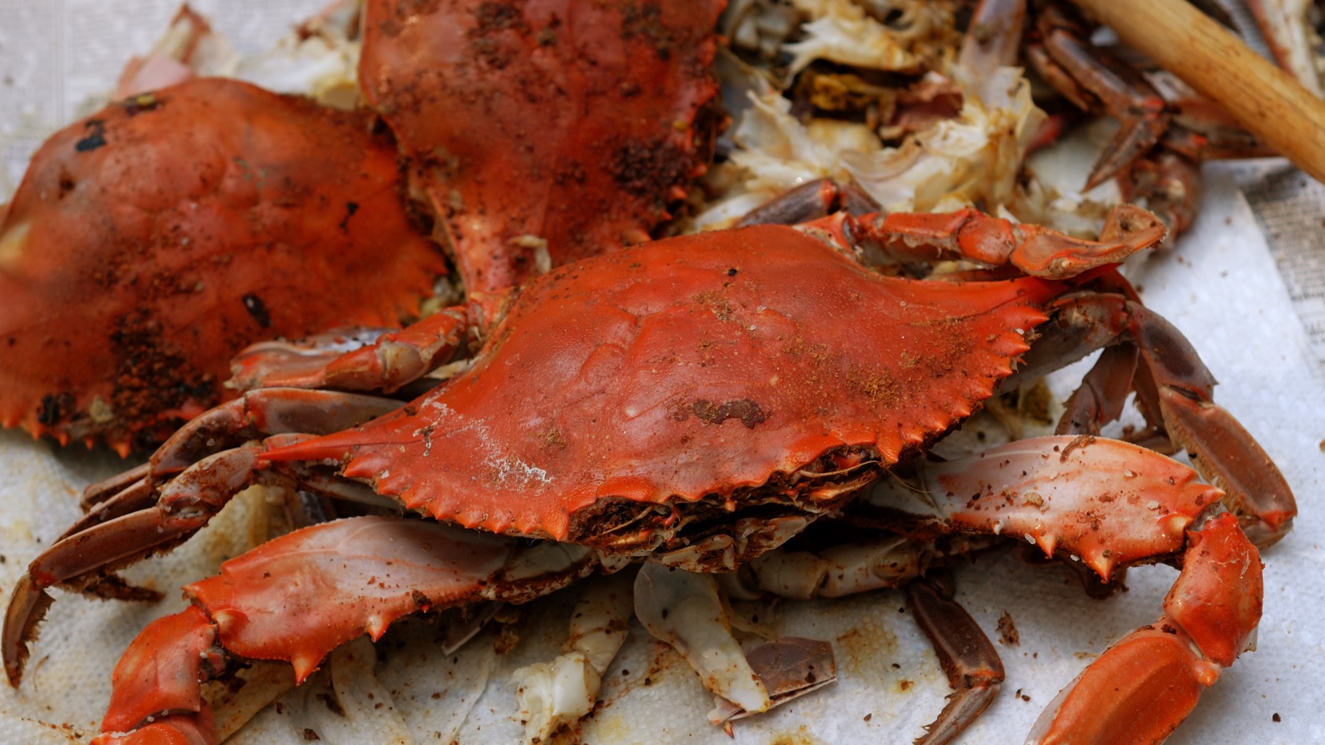 You know we take seafood seriously in the DMV, especially when it comes to Maryland blue crabs. But a viewer heard eating them can lead to vertigo. So is it true?