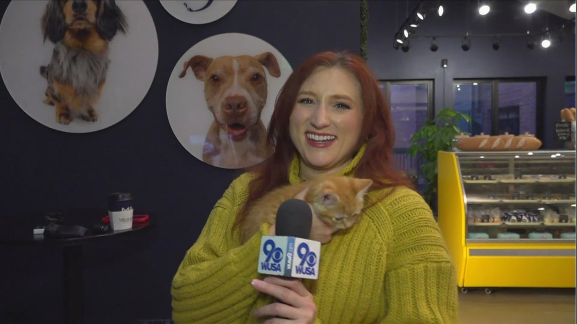 Milo & Mav Coffee Shop & Dog Boutique