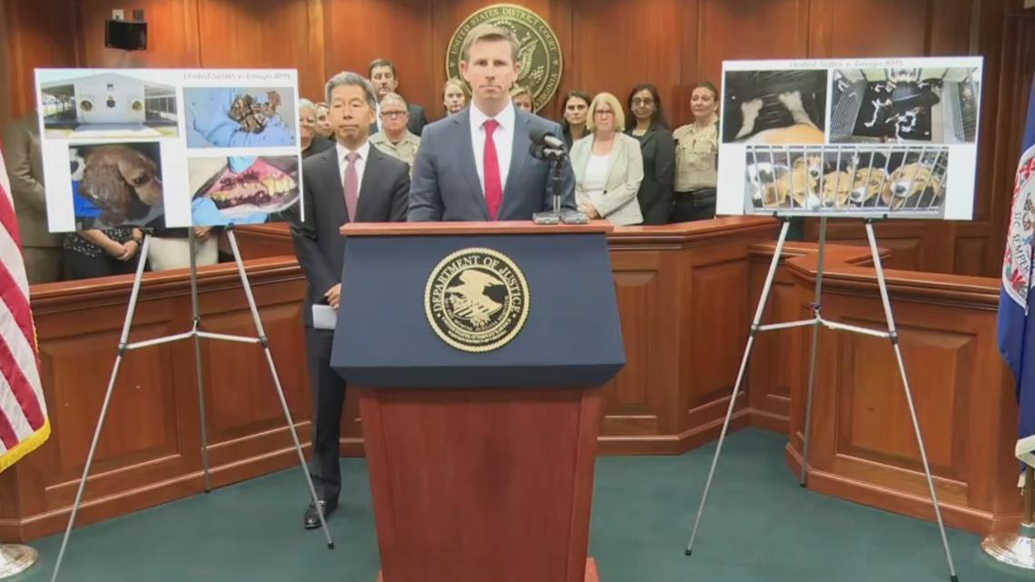 Envigo pleads guilty to mistreatment of beagles, to pay $35M fine - Vimarsana News