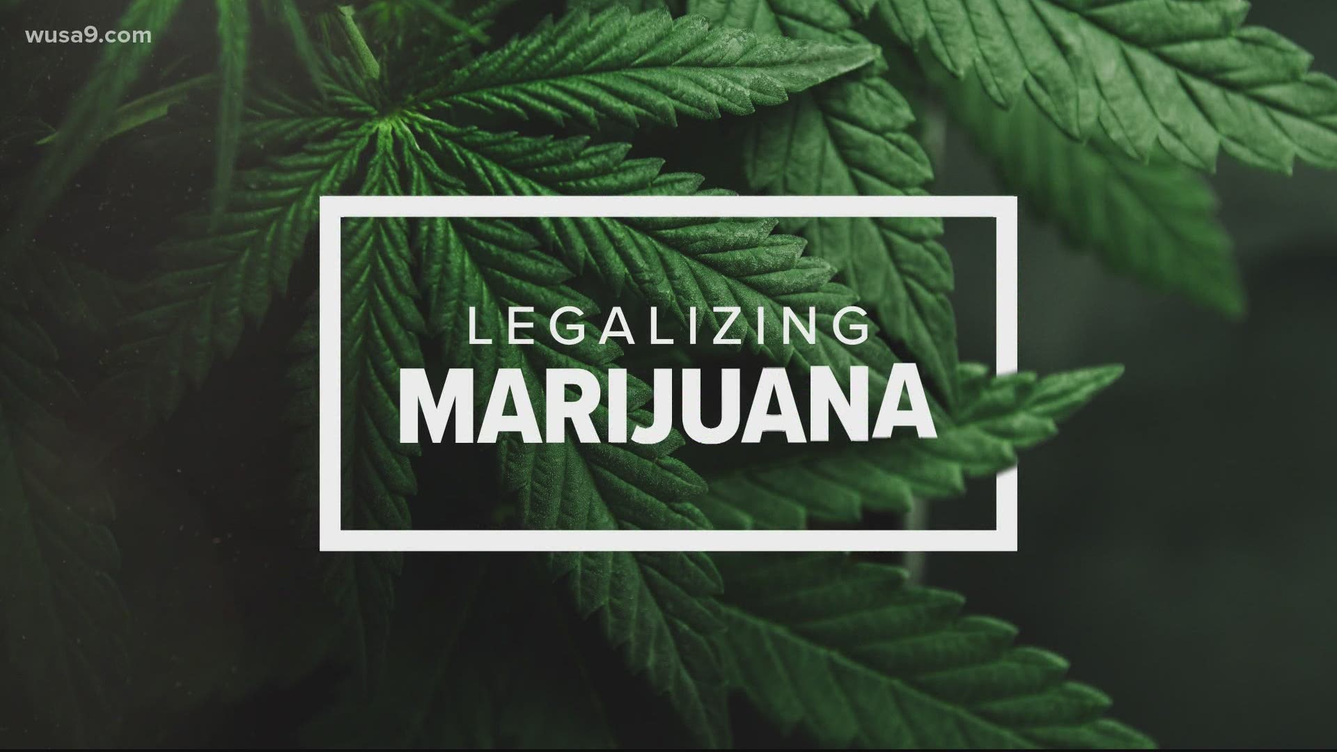 Groups like the ACLU of Virginia want Gov. Ralph Northam to amend a bill legalizing marijuana so that it would happen in 2021 and not 2024.