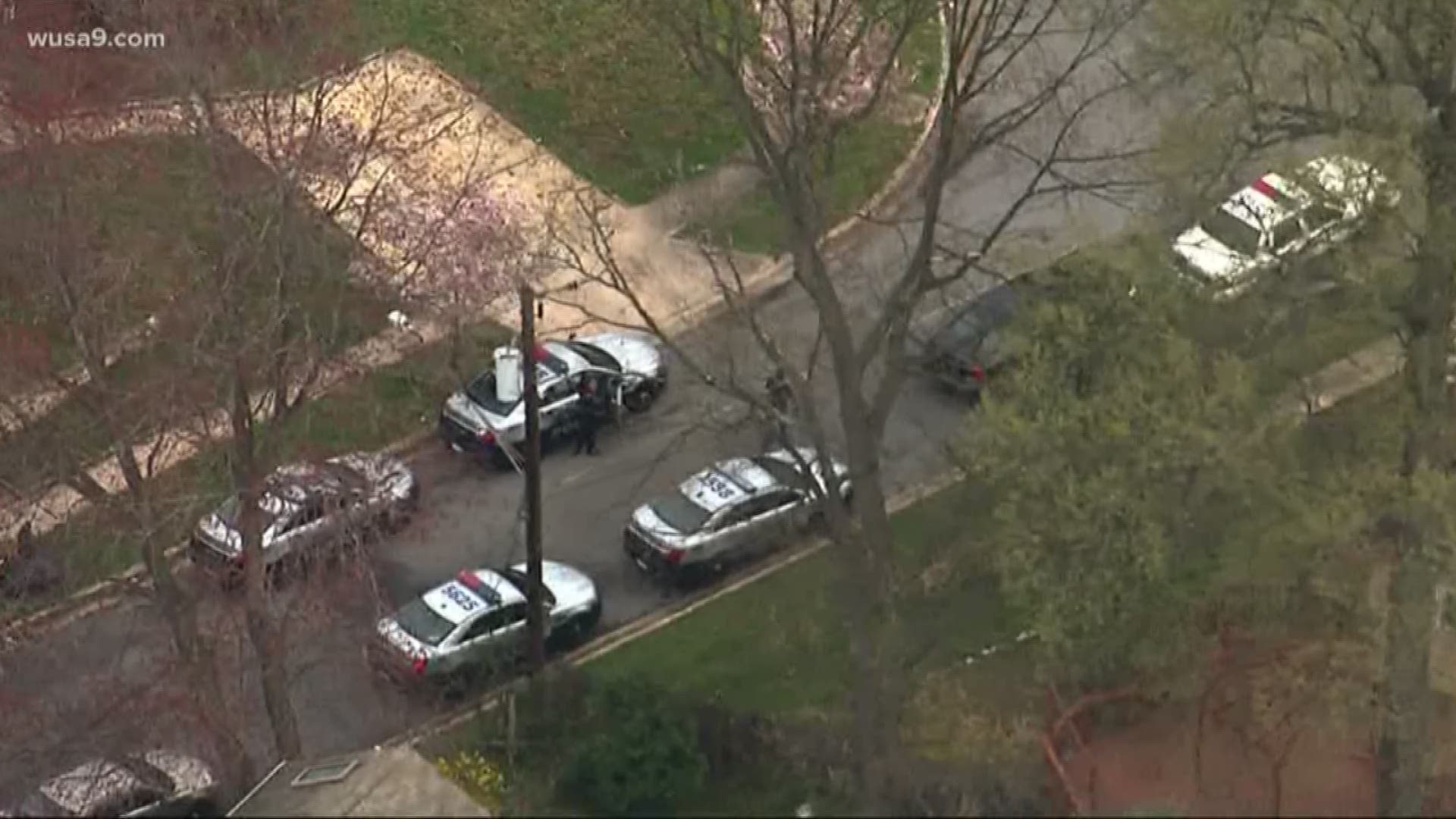 20yearold shot to death in Adelphi, police say