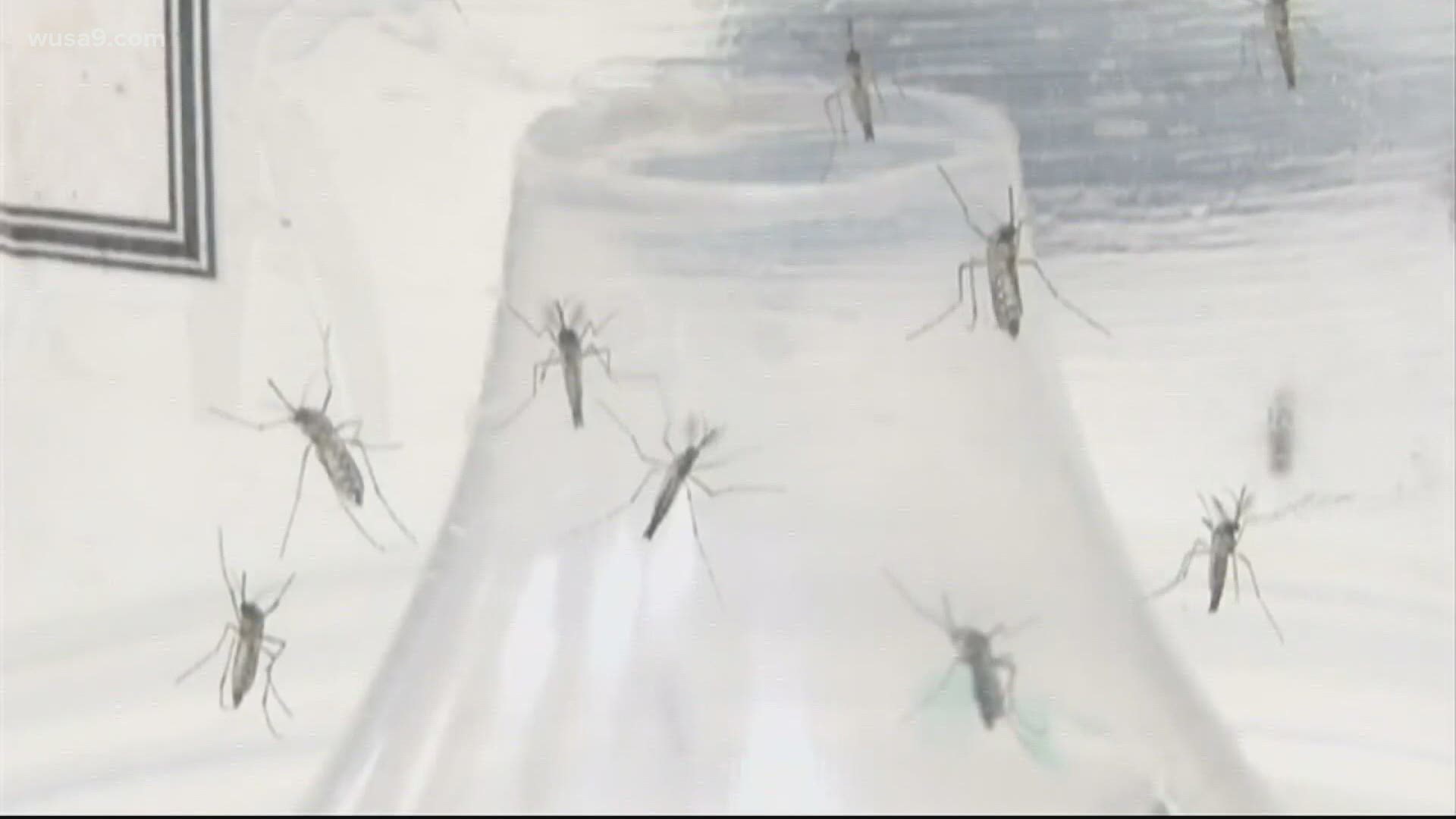 Entomologist Dr. Floyd Shockley says it's hard to say if this is true as we are still in the middle of breeding season for mosquitoes