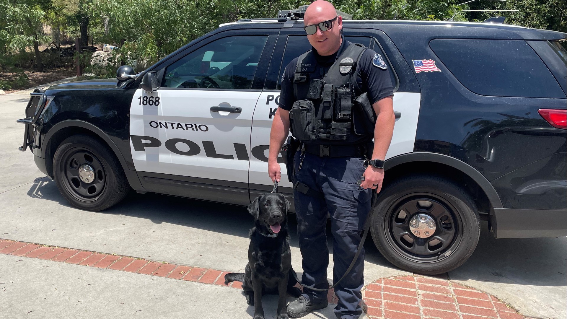 US Capitol Police gets comfort dog after 3 on-duty deaths | wusa9.com