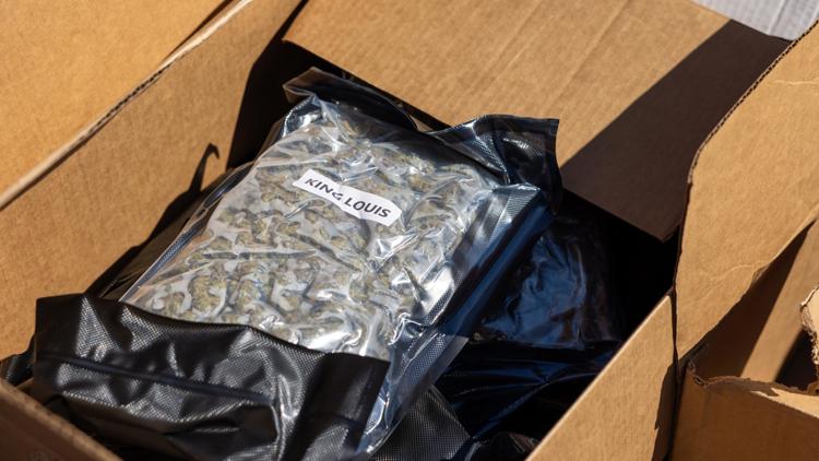 Hives of corruption' | 13 vape shops snared in massive Northern Virginia  drug bust