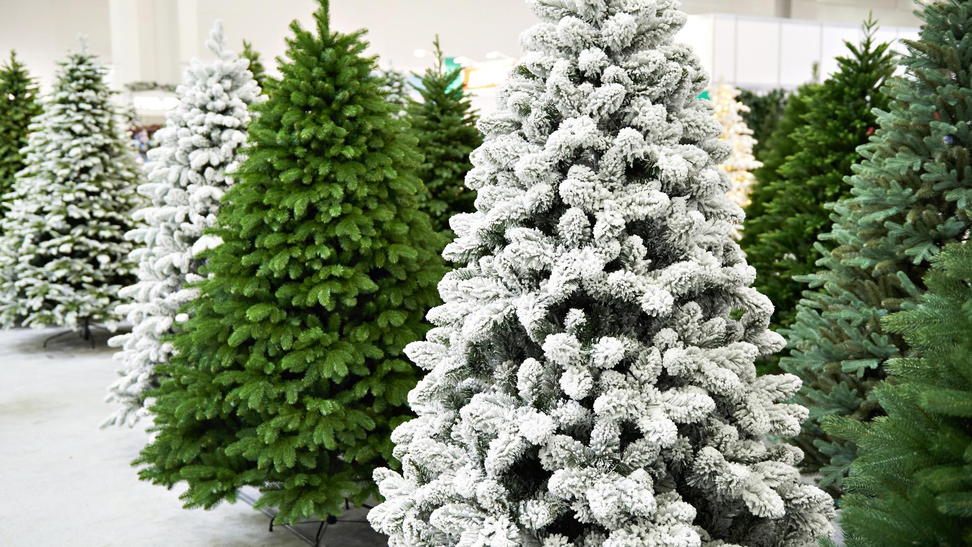 Both real and artificial Christmas trees can have environmental impacts and benefits.