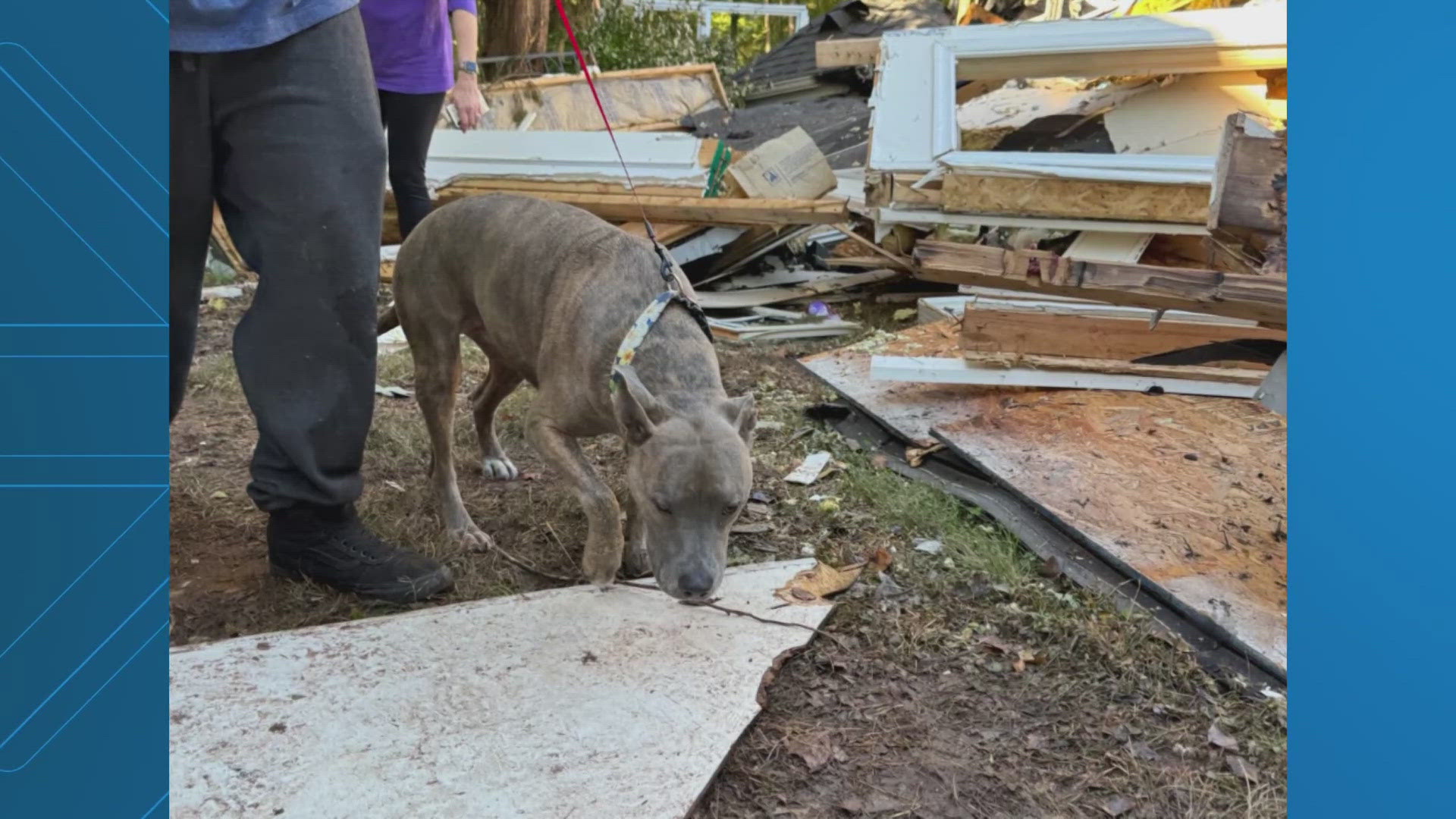 Six days after a house exploded in Haymarket, Virginia, a dog has been rescued alive from the rubble.