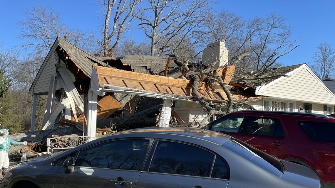 Tree collapses on Maryland home, woman injured