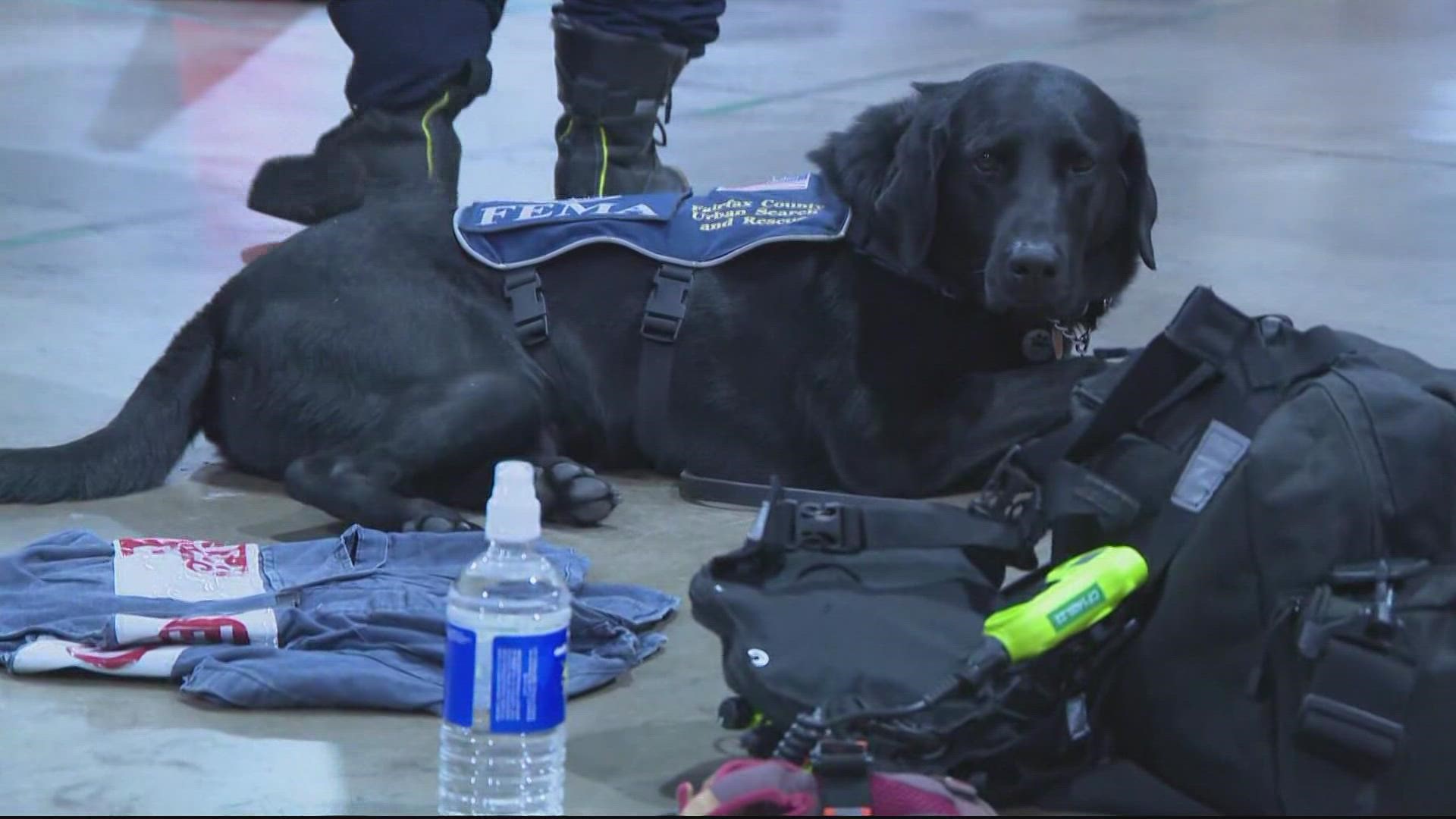 A Type-3 team was deployed, which includes 45 personnel members and a couple rescue pups.