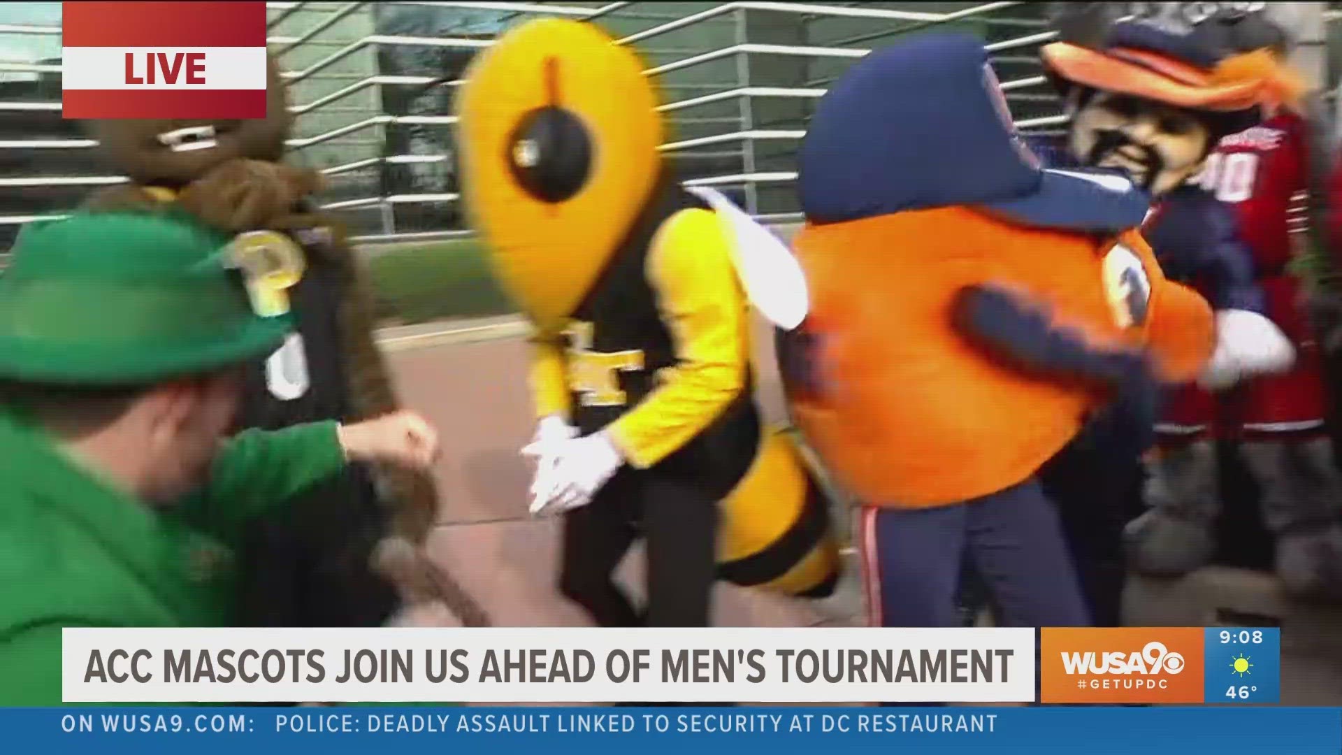 Mascots from all 15 teams in the ACC tournament are here in D.C. to cheer on their colleges.