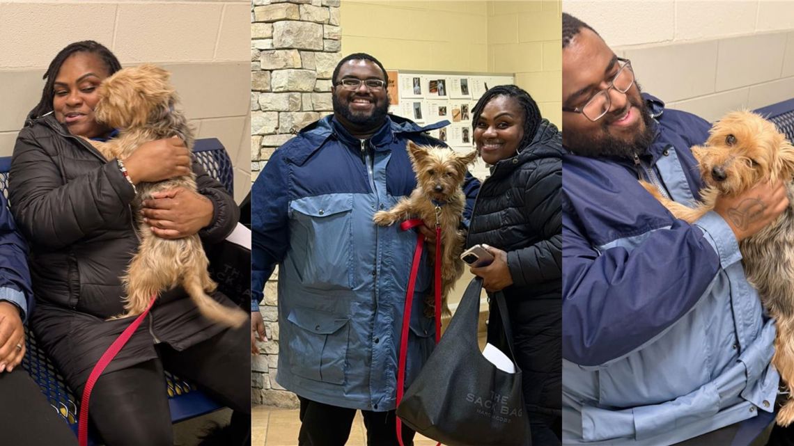Maryland family reunited with pup missing for 3 years