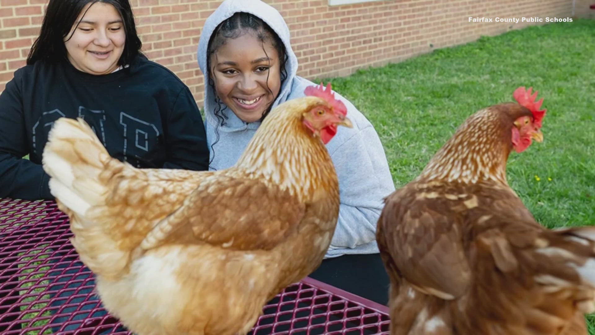 A month long project turned into a lifestyle at Walt Whitman Middle School. 