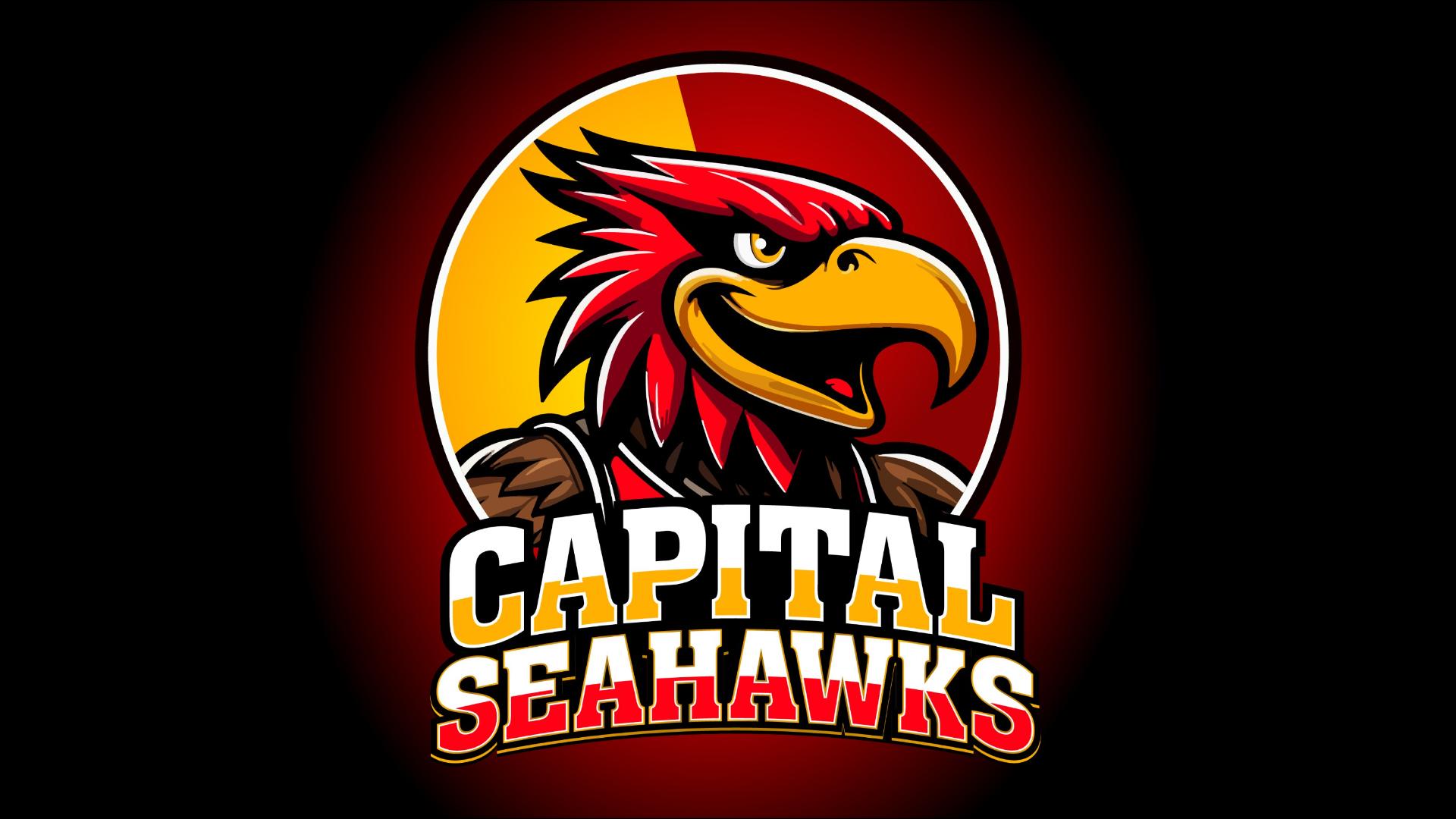Sponsored by: Capital Seahawks. Tayvon Jackson and Vanessa Patterson discuss how the Capital Seahawks are committed to inspiring community growth through sports.