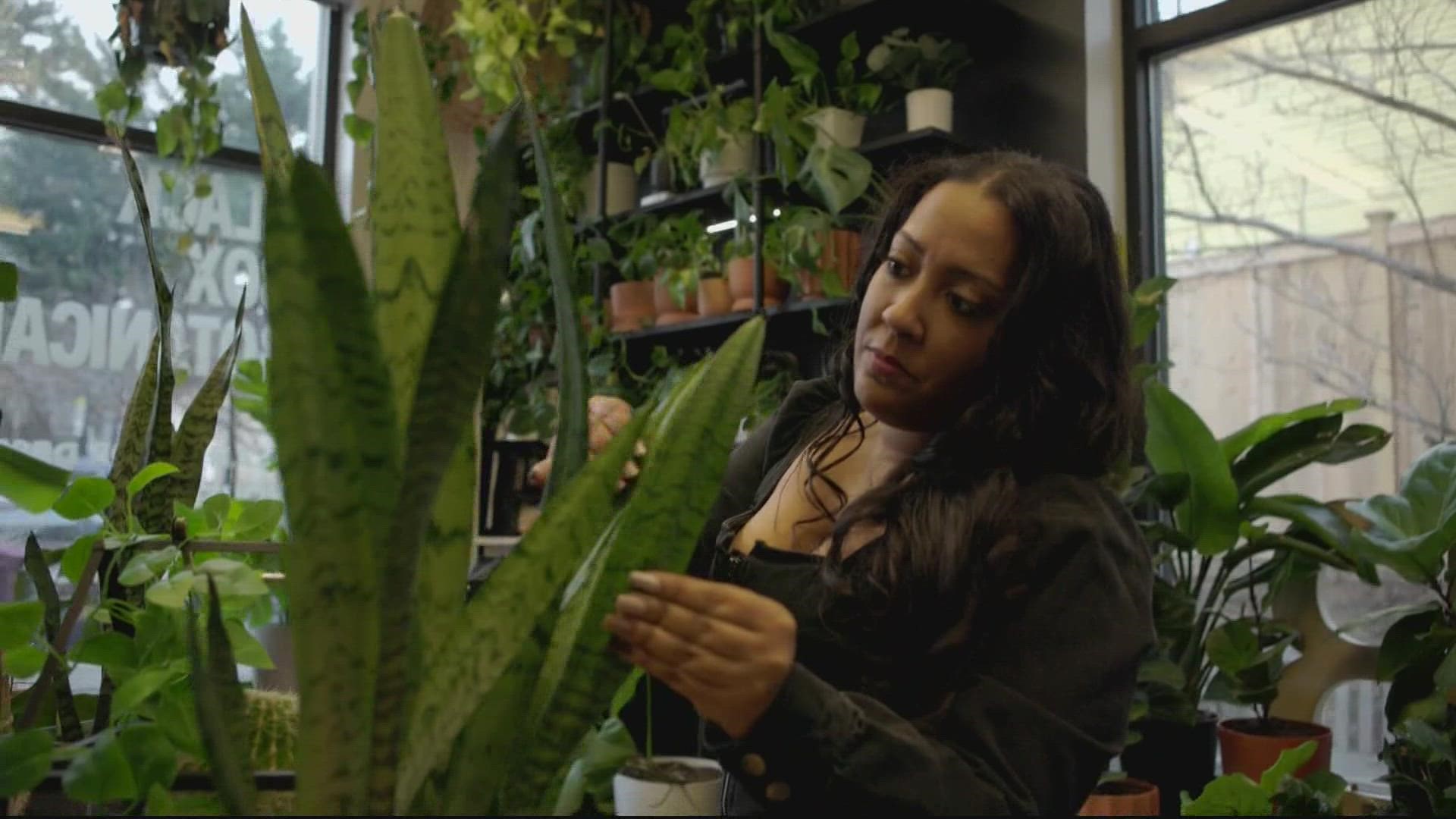 Meterologist Kaitlyn McGrath talked to some plant-care experts in DC who gave some advice on keeping your houseplants happy in the DMV through the winter.