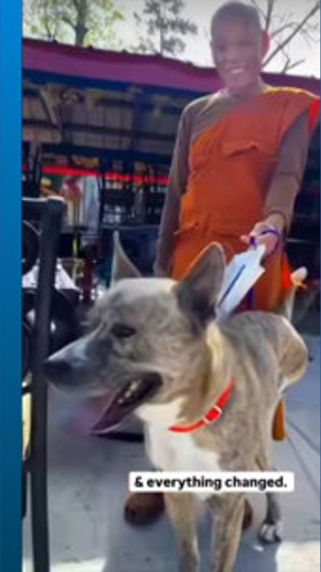 Monks Rescued Dog Walk for Peace monk adopts 3-legged dog | wusa9.com